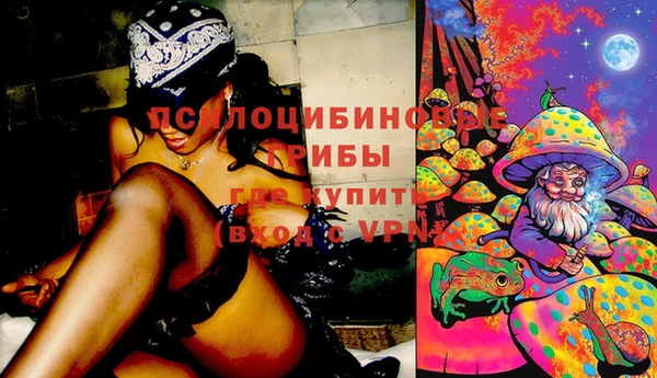 сатива Ладушкин