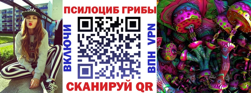 Купить где  Анива  Галлюциногенные грибы MAGIC MUSHROOMS 
